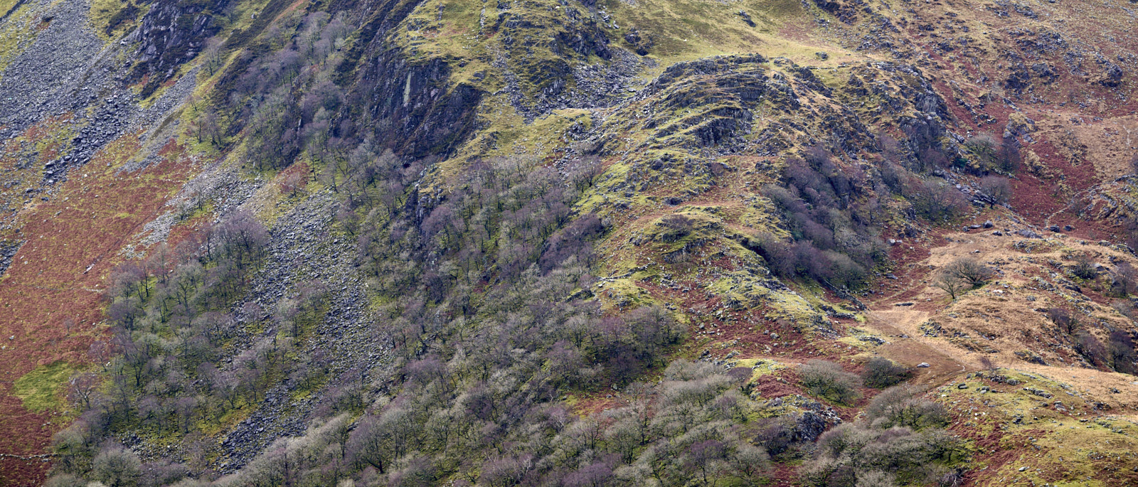 Dinorwic