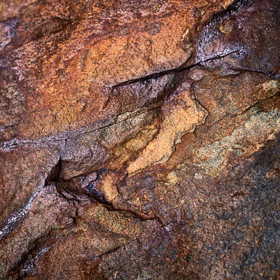 trees and slate