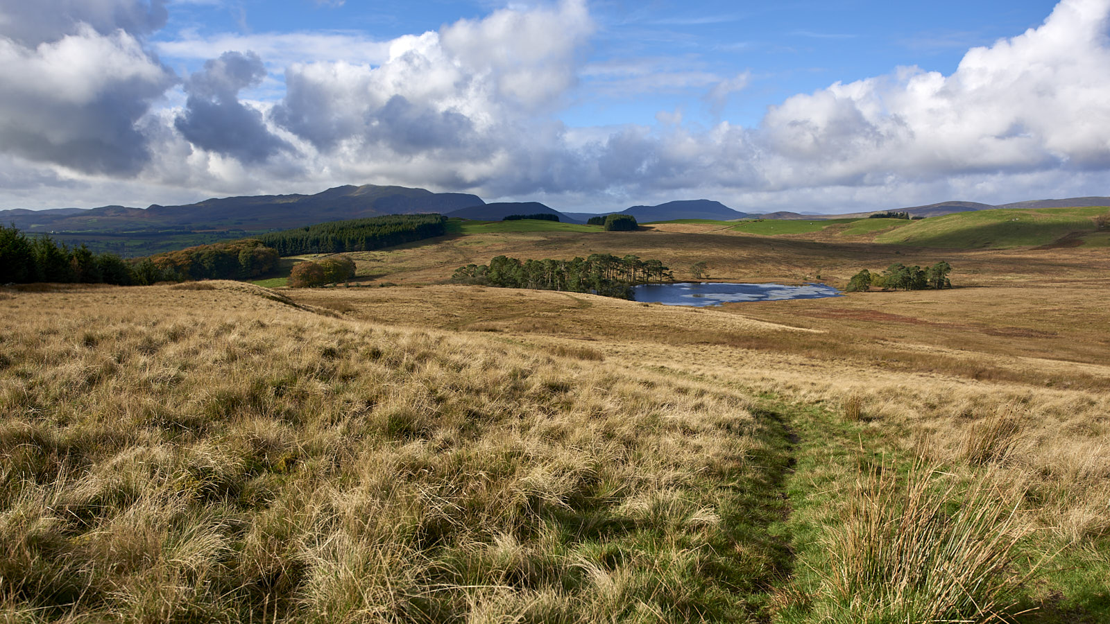 moel-emoel, Wales
