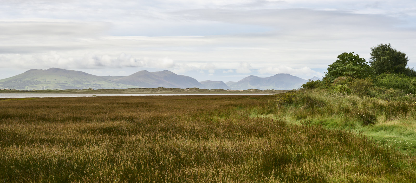 Newborough Warren