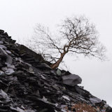 Slate, Penrhyn, Gwynedd, Wales